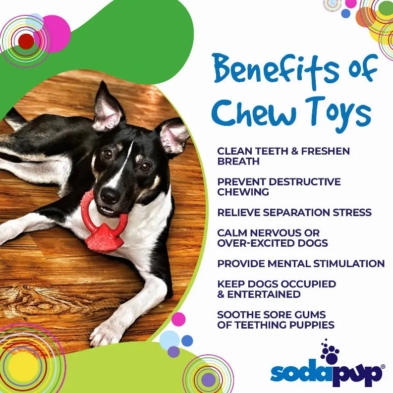 Diamond Ring Durable Teething Ring for Puppies and Aggressive Chewers SodaPup