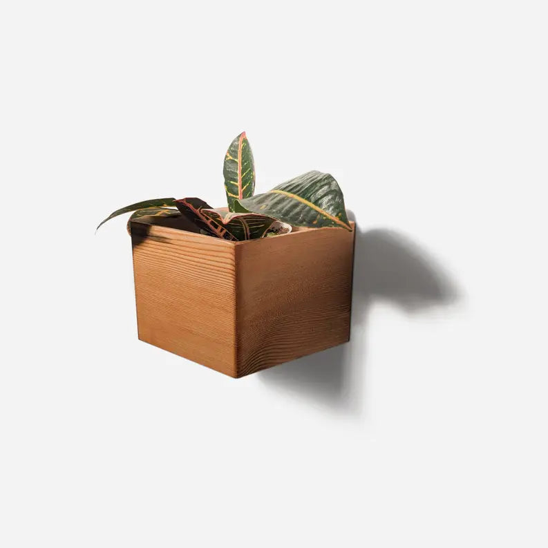 Diamond self-watering, wall-mounted planter Formr