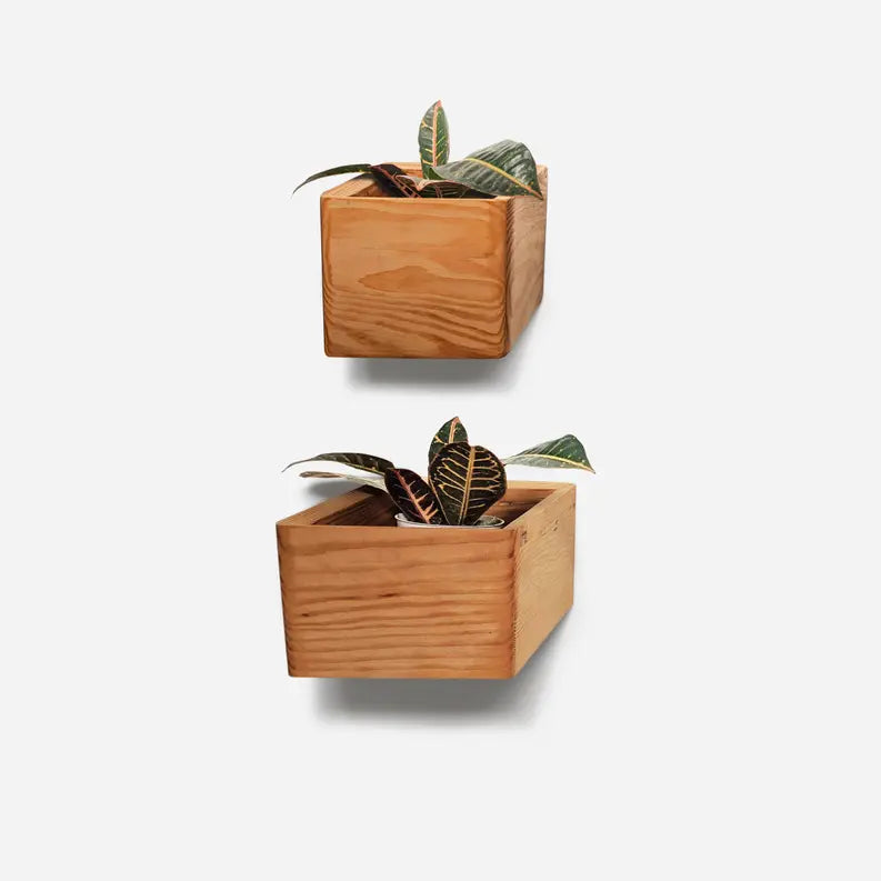 Diamond self-watering, wall-mounted planter Formr