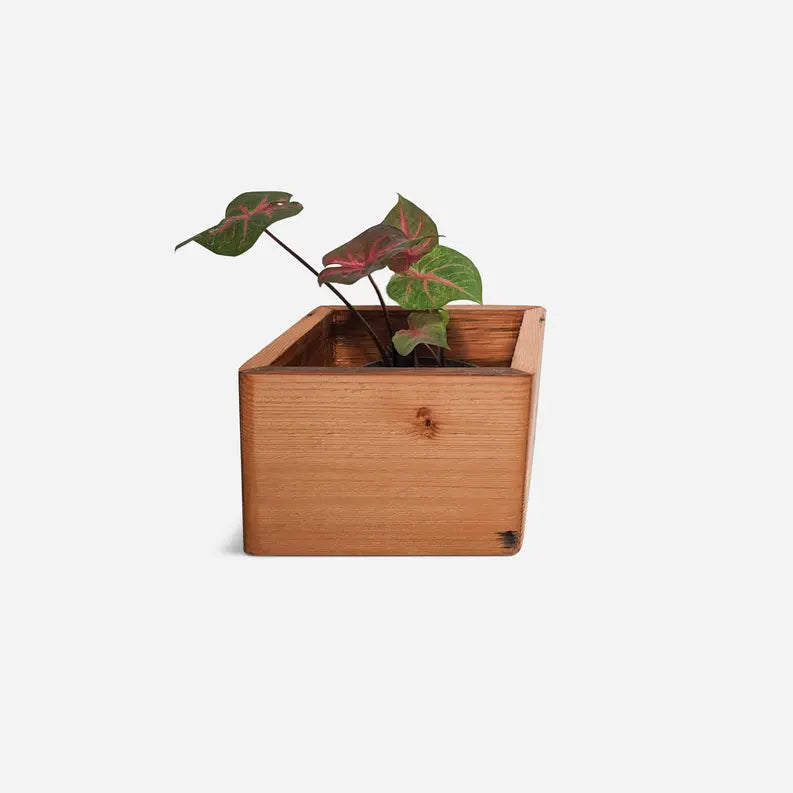 Diamond self-watering, wall-mounted planter Formr
