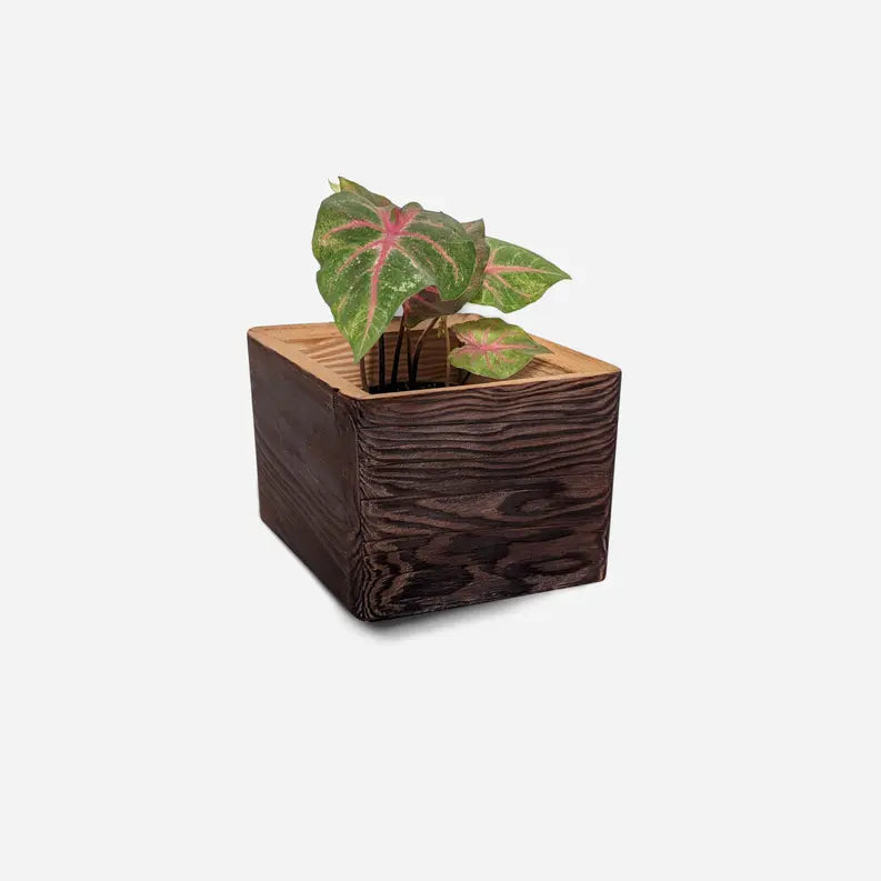 Diamond self-watering, wall-mounted planter Formr