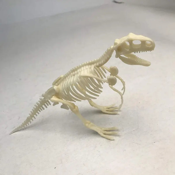 Dinosaur Skeleton Realistic Model Assembly Peggable Kits Texas Toy Distribution