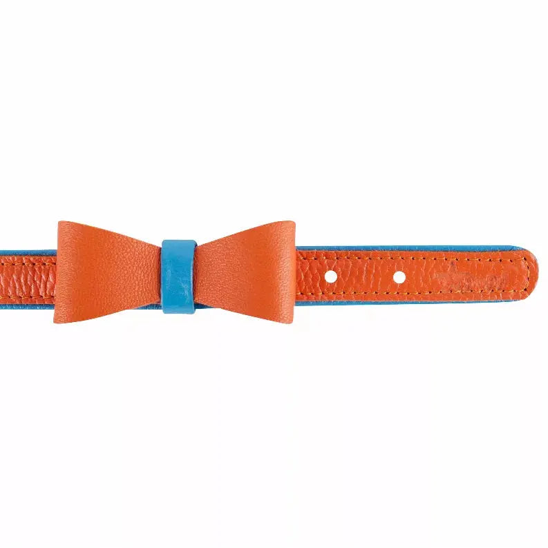 Dog Bow Tie PoisePup