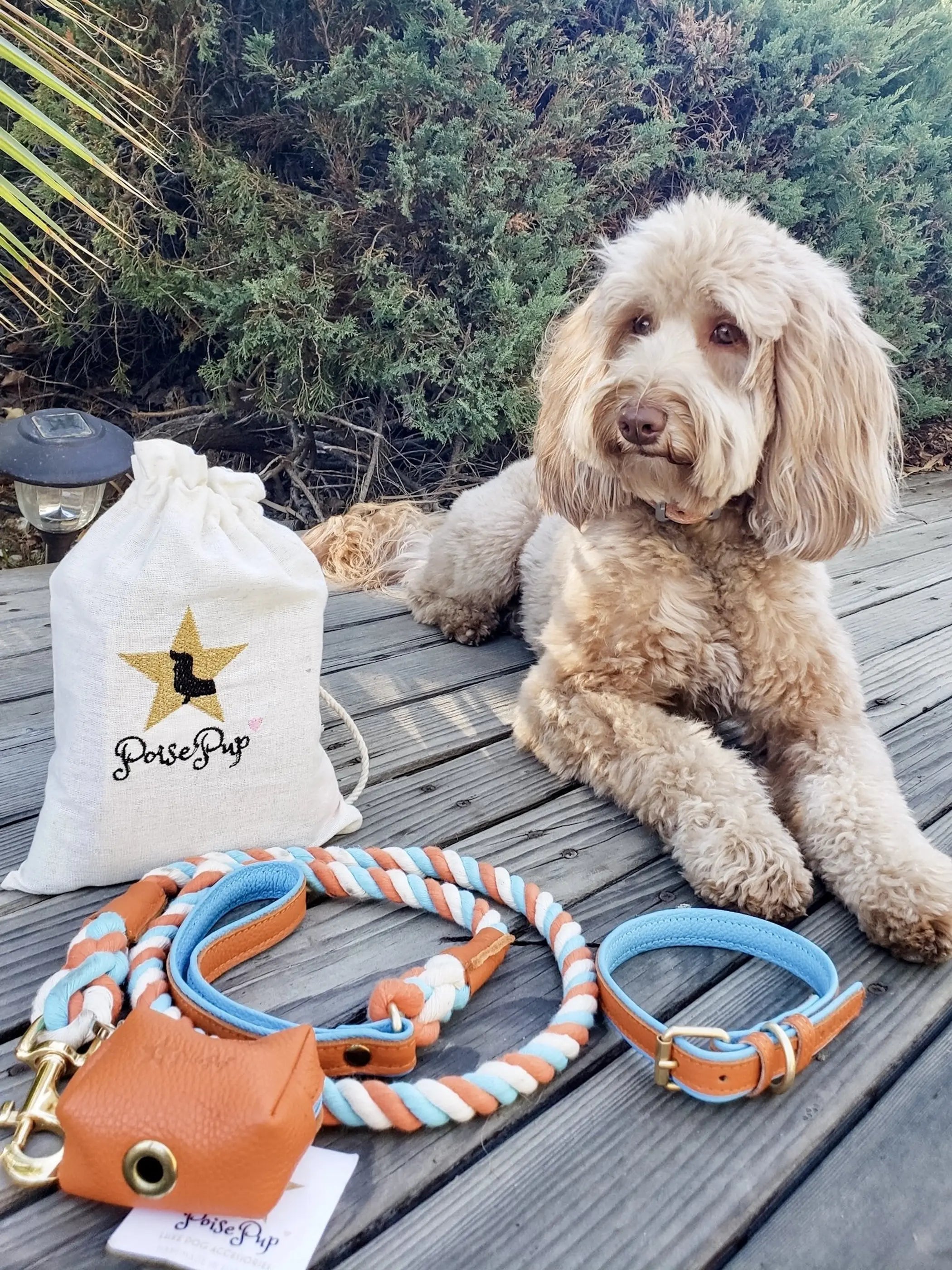 Dog Leash PoisePup