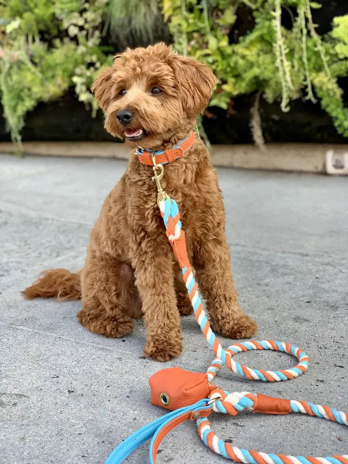 Dog Leash PoisePup
