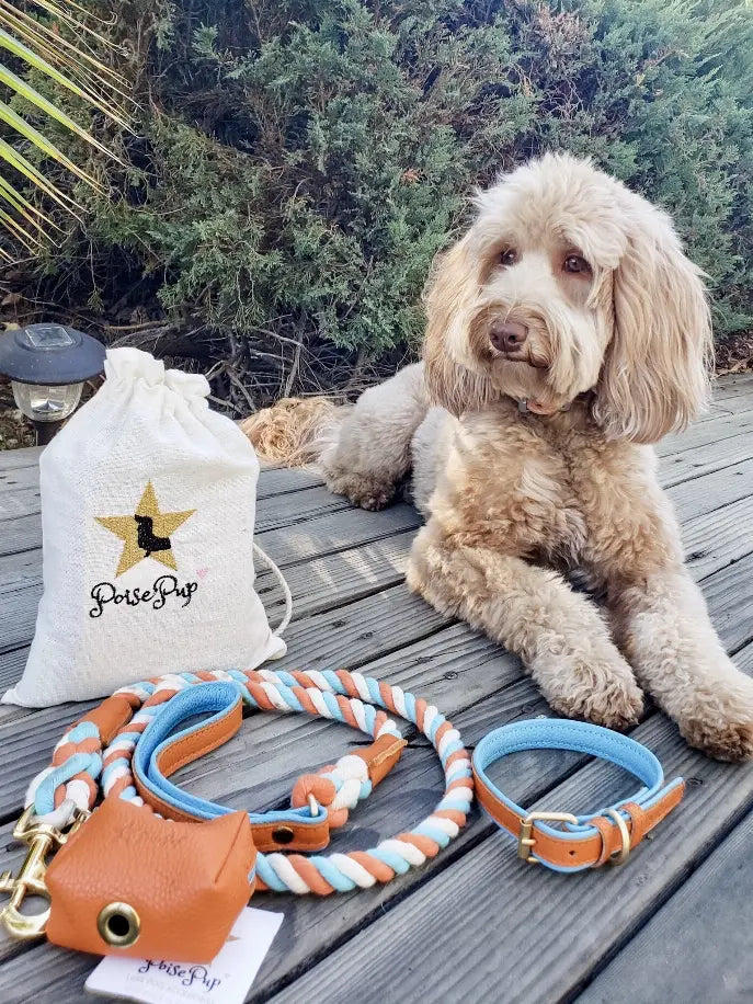 Dog Leash PoisePup