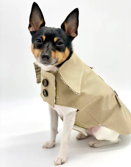 DoggieCoutureNY Classic Trench Coat DoggieCoutureNY