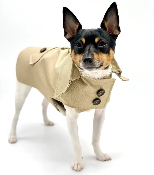 DoggieCoutureNY Classic Trench Coat DoggieCoutureNY