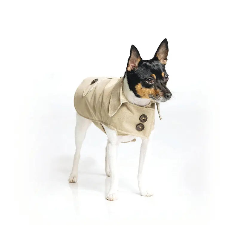 DoggieCoutureNY Classic Trench Coat DoggieCoutureNY