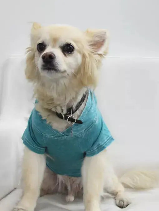 Doggy Hoodie COIN1804