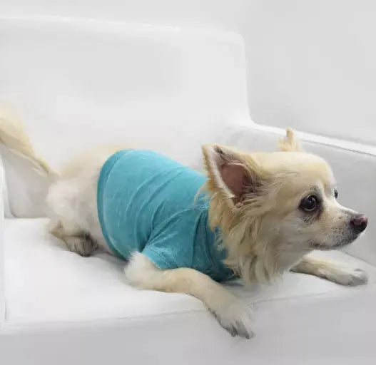 Doggy Tee COIN1804