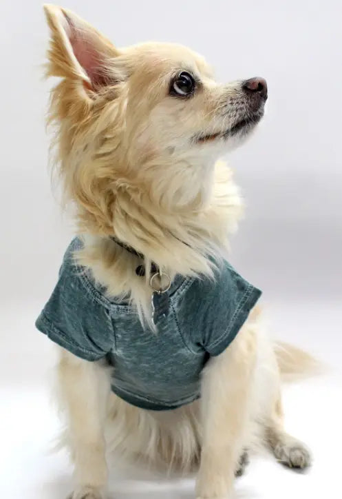 Doggy Tee COIN1804