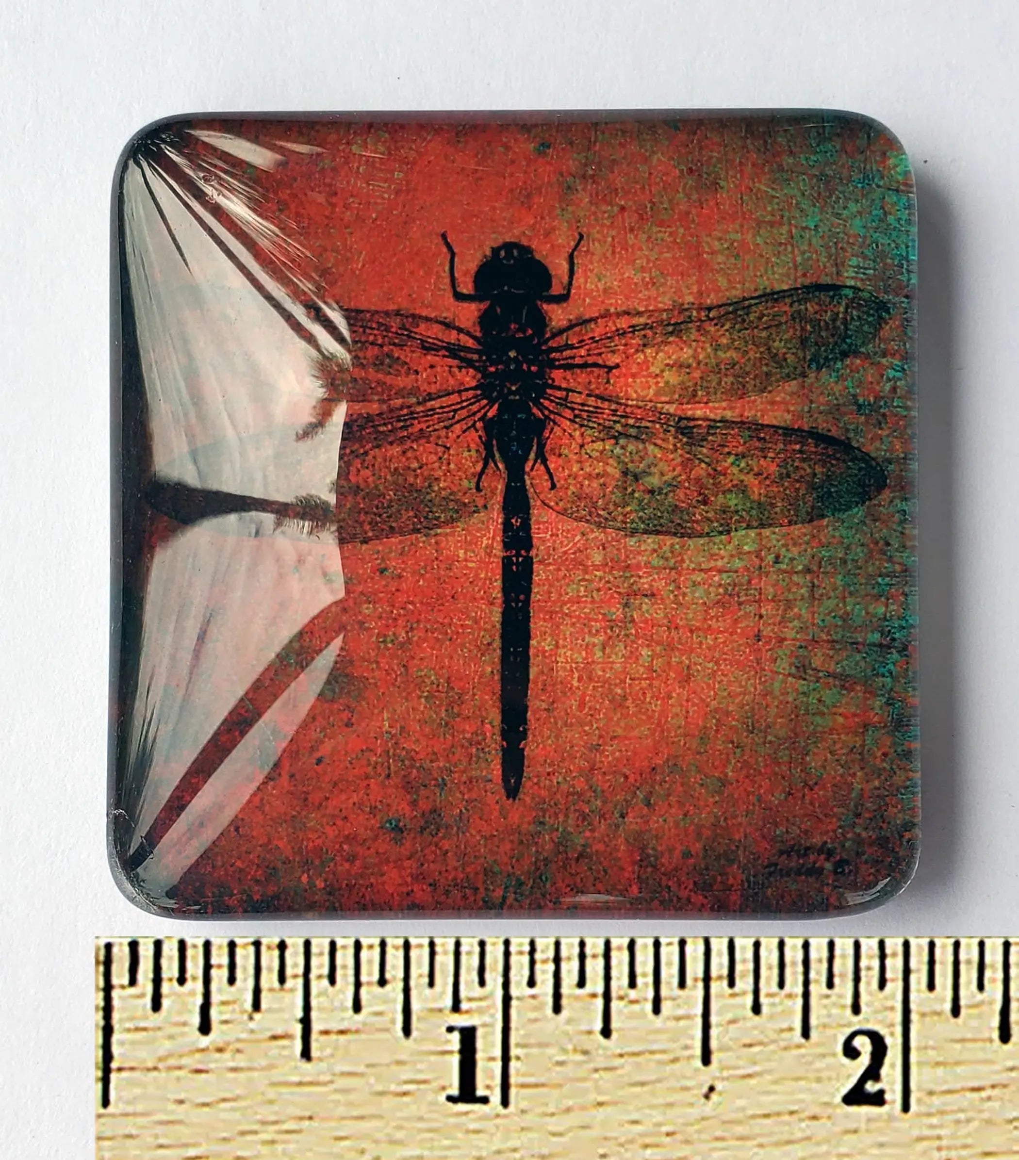 Dragonfly on Brown Background Print Acrylic Glass Magnet Dragonfly Distribution