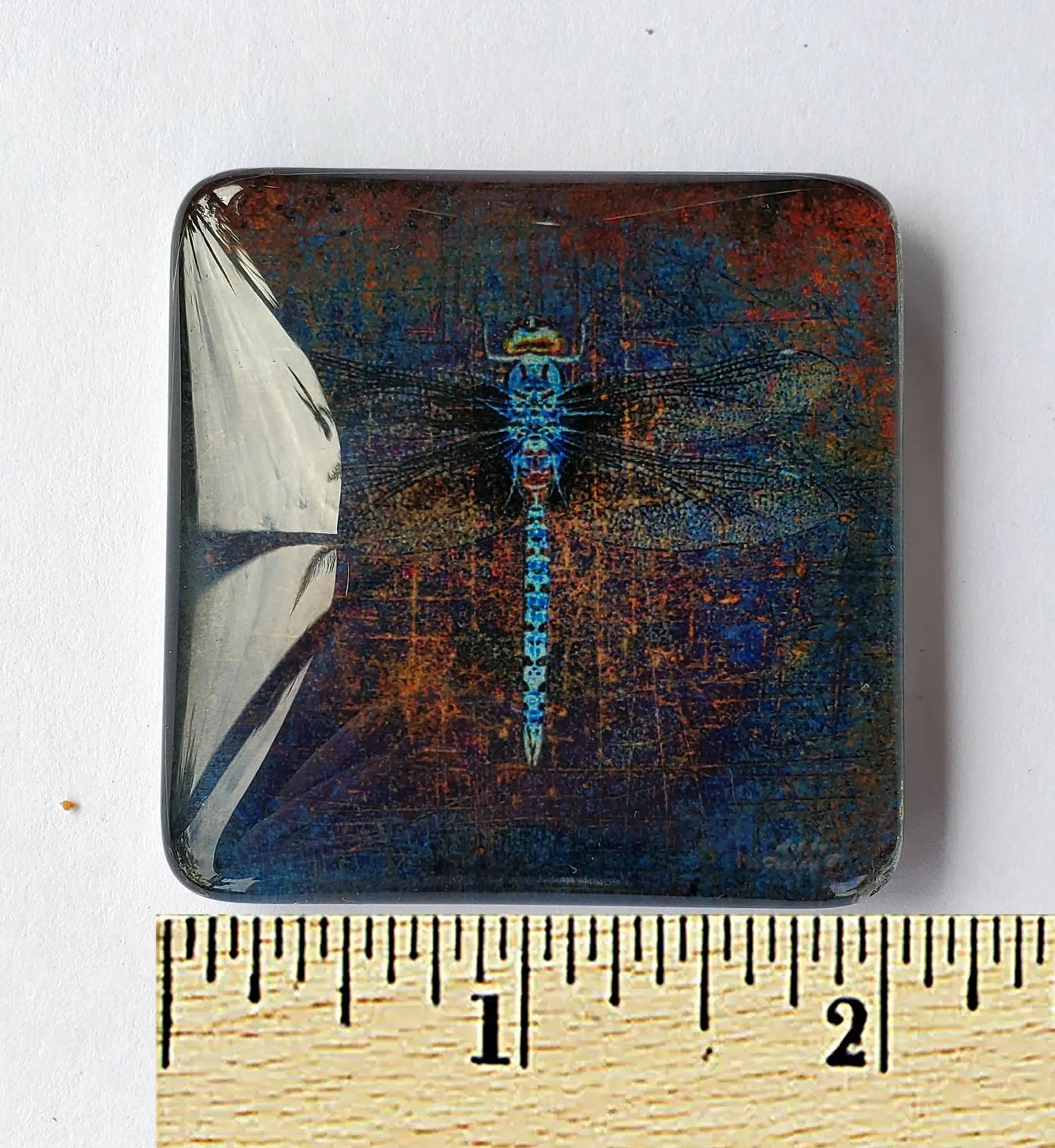 Dragonfly on Purple Backround Print Acrylic Glass Magnet Dragonfly Distribution