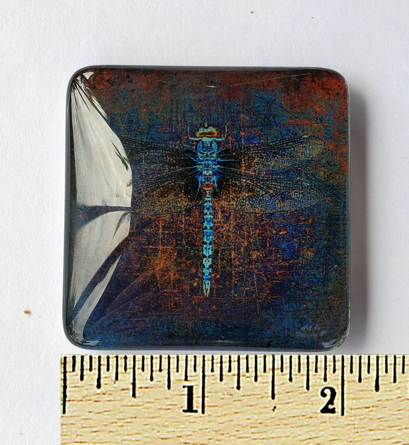 Dragonfly on Purple Backround Print Acrylic Glass Magnet Dragonfly Distribution