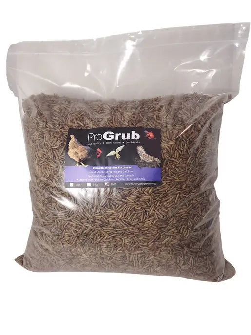 Dried Black Soldier Fly Larvae ProGrub