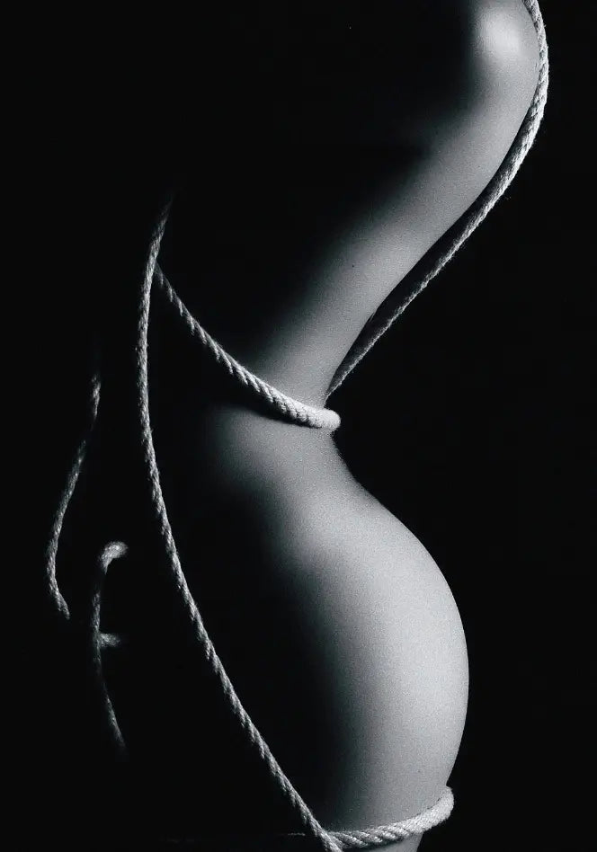 Erotica Rope Glass Wall Art Monique Store
