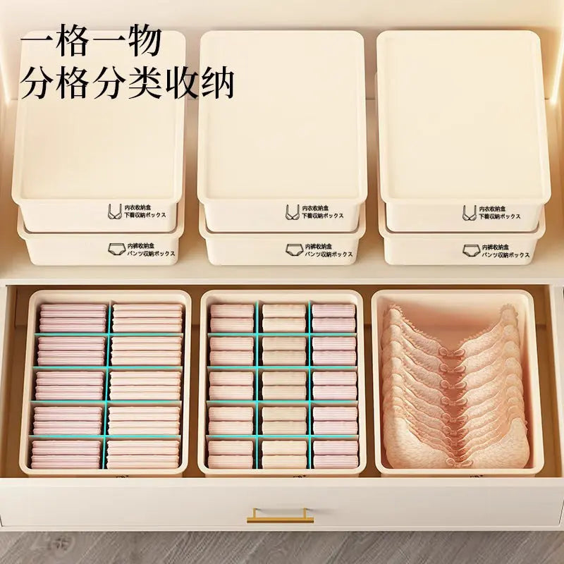 FX 3023 Plastic Storage Box Home Bra Underwear Socks Box Drawer Type Clothes Organizer Storage Underwear Box GreatEagleInc