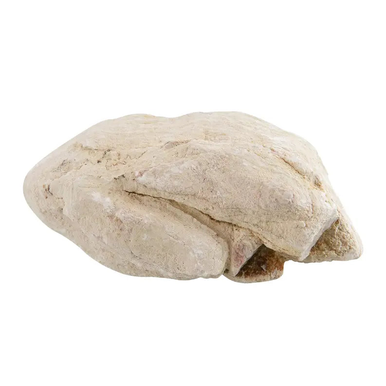 Fiery Red and White Rock Jar Feller Stone