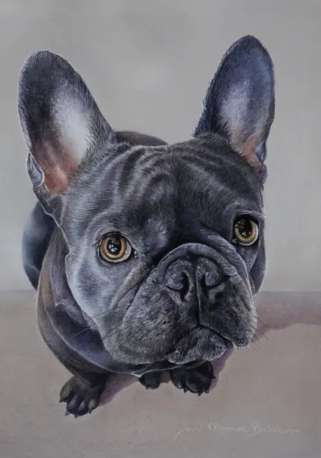 French Bulldog  - Joni Monroe Beinborn Portrait House and Garden Flag Best of Breed