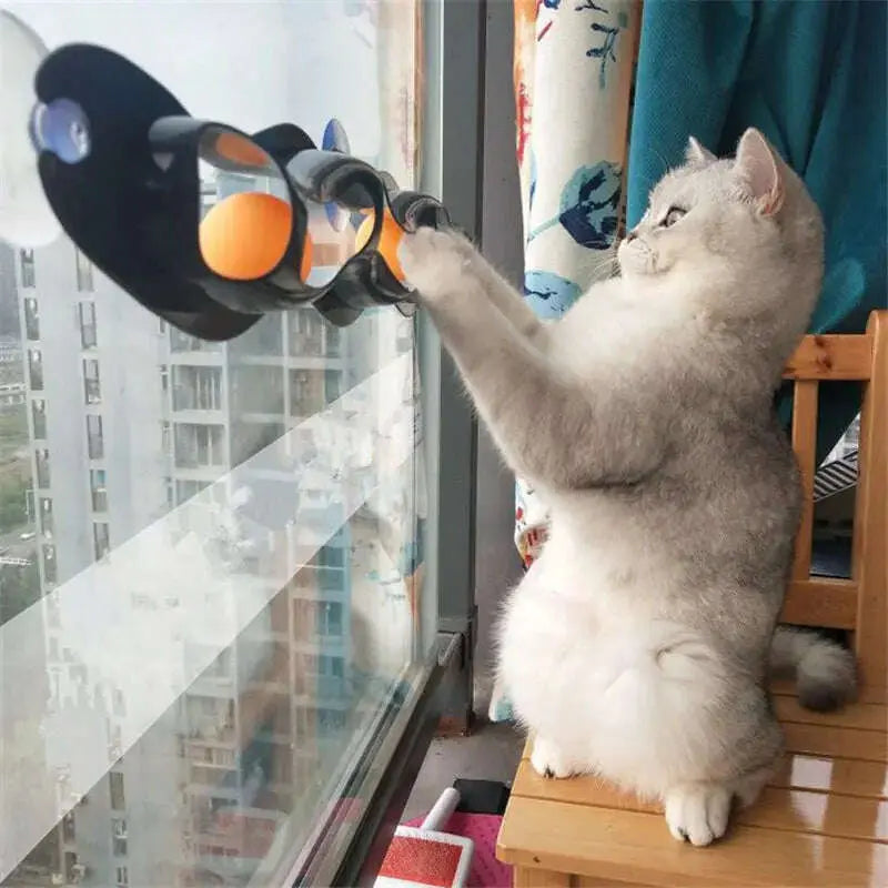 Funny-Pet-Educational-Toys-Plastic-Sucker-Window-Table-Tennis-Adsorption-Glass-Cat-Interactive-Track-Ball-Toy-Kitten-Accessories-GreatEagleInc-334133577