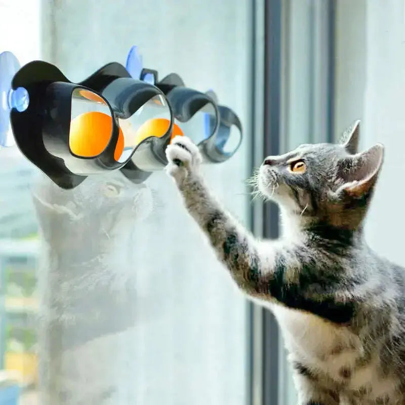 Funny-Pet-Educational-Toys-Plastic-Sucker-Window-Table-Tennis-Adsorption-Glass-Cat-Interactive-Track-Ball-Toy-Kitten-Accessories-GreatEagleInc-334150174