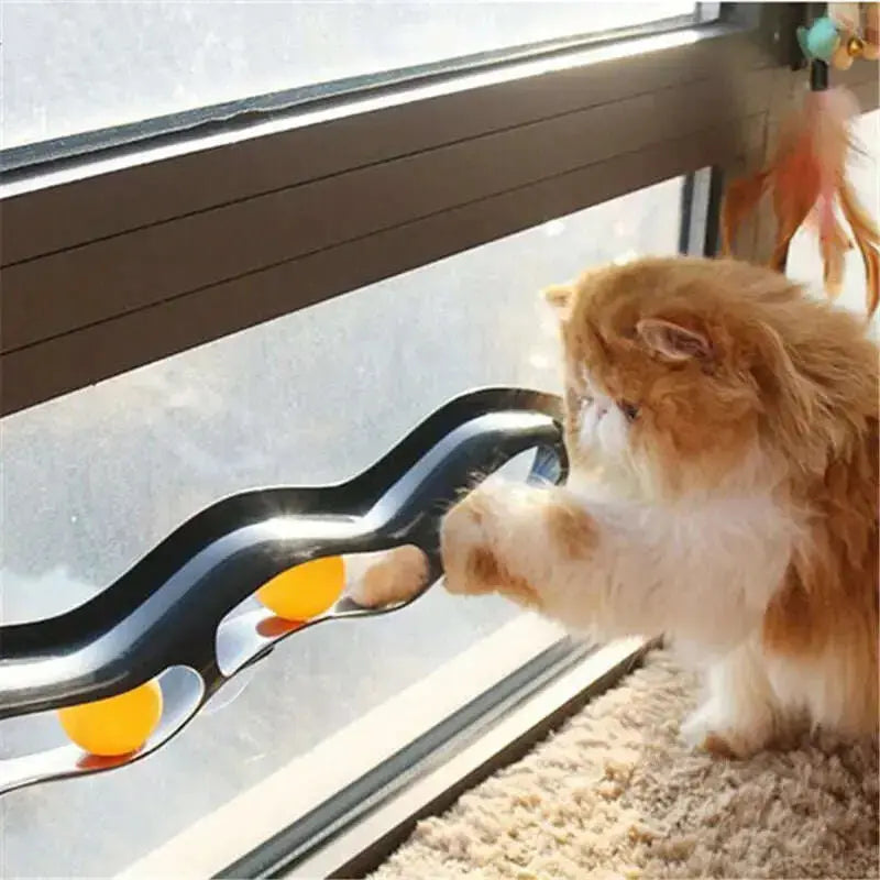 Funny-Pet-Educational-Toys-Plastic-Sucker-Window-Table-Tennis-Adsorption-Glass-Cat-Interactive-Track-Ball-Toy-Kitten-Accessories-GreatEagleInc-334150375