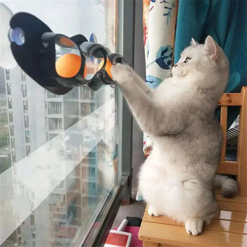 Funny-Pet-Educational-Toys-Plastic-Sucker-Window-Table-Tennis-Adsorption-Glass-Cat-Interactive-Track-Ball-Toy-Kitten-Accessories-GreatEagleInc-334150549