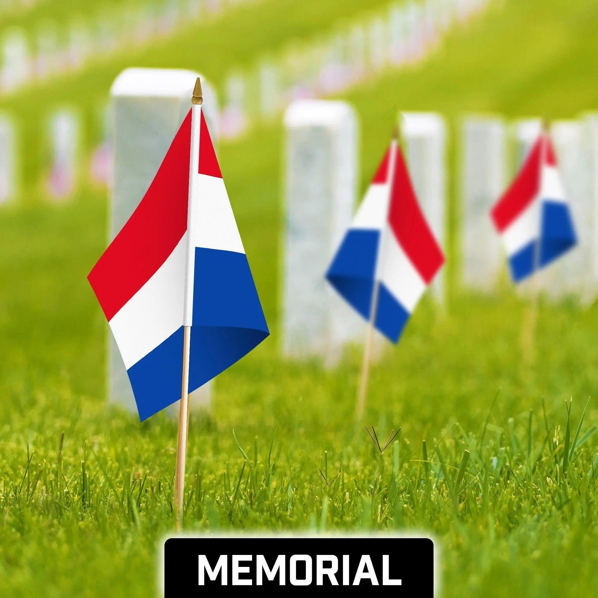 G128 50 Pack Handheld Netherlands Dutch Stick Flags | 12x18 In | Printed 150D Polyester, Country Flag, Solid Wooden Stick, Spear Gold Tip G128