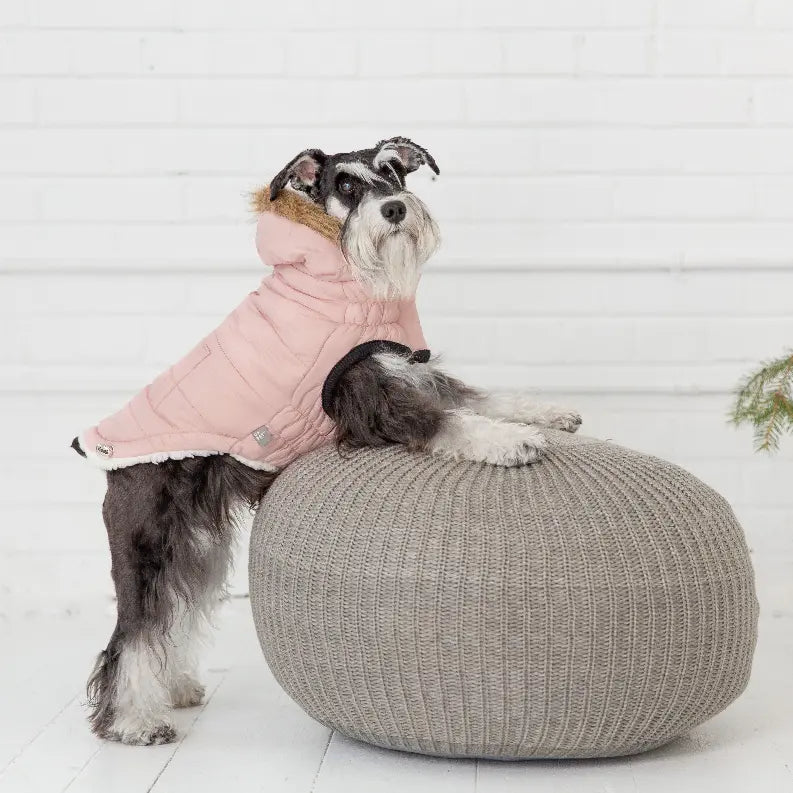 GF Pet ElastoFit Urban Dog Parka GF Pet