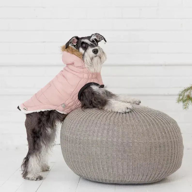 GF Pet ElastoFit Urban Dog Parka GF Pet