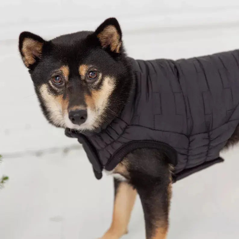 GF Pet Reversible Elasto-Fit Chalet Jacket GF Pet