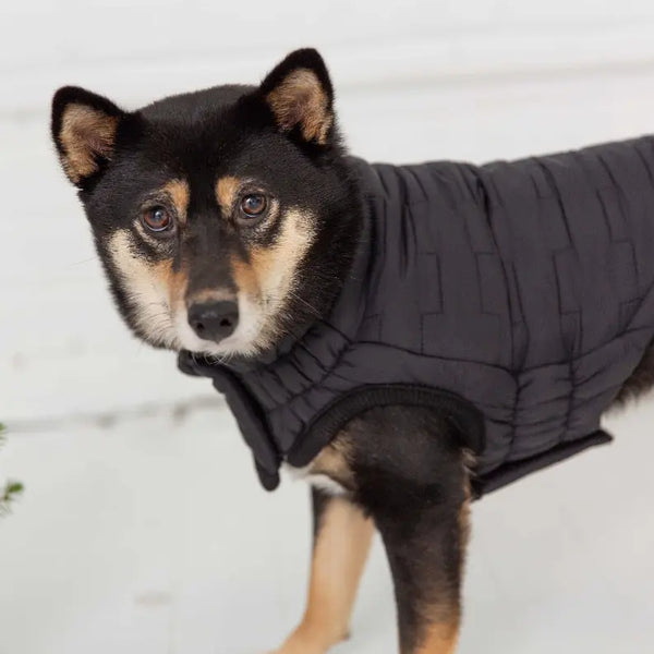 GF Pet Reversible Elasto-Fit Chalet Jacket GF Pet