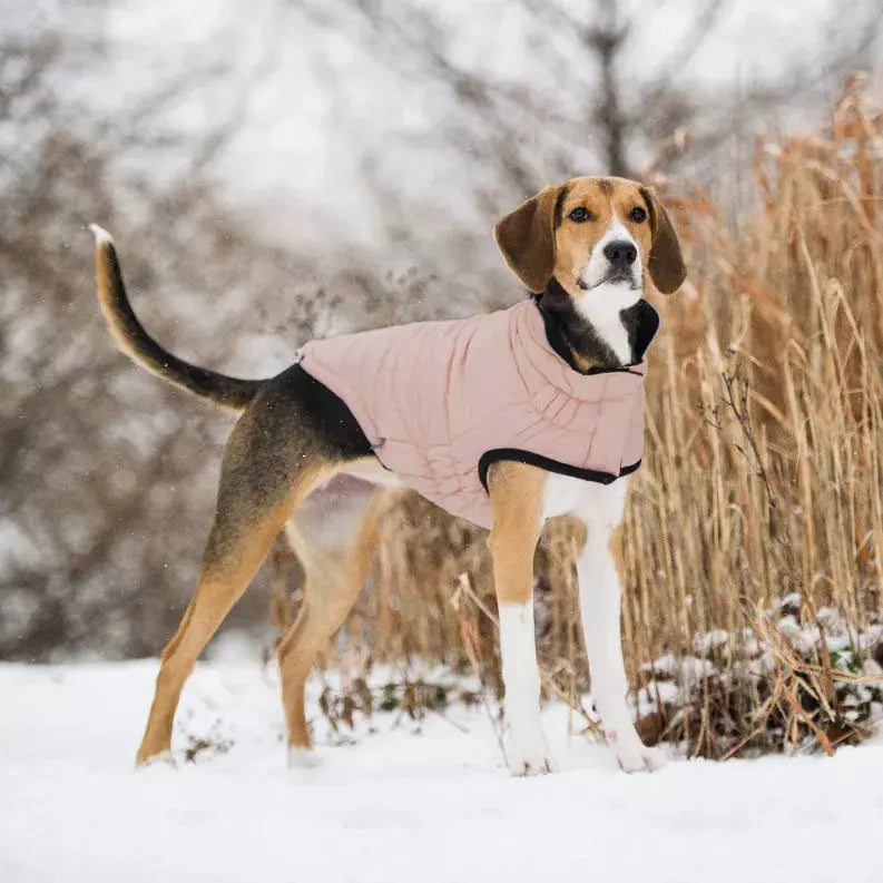 GF Pet Reversible Elasto-Fit Chalet Jacket GF Pet