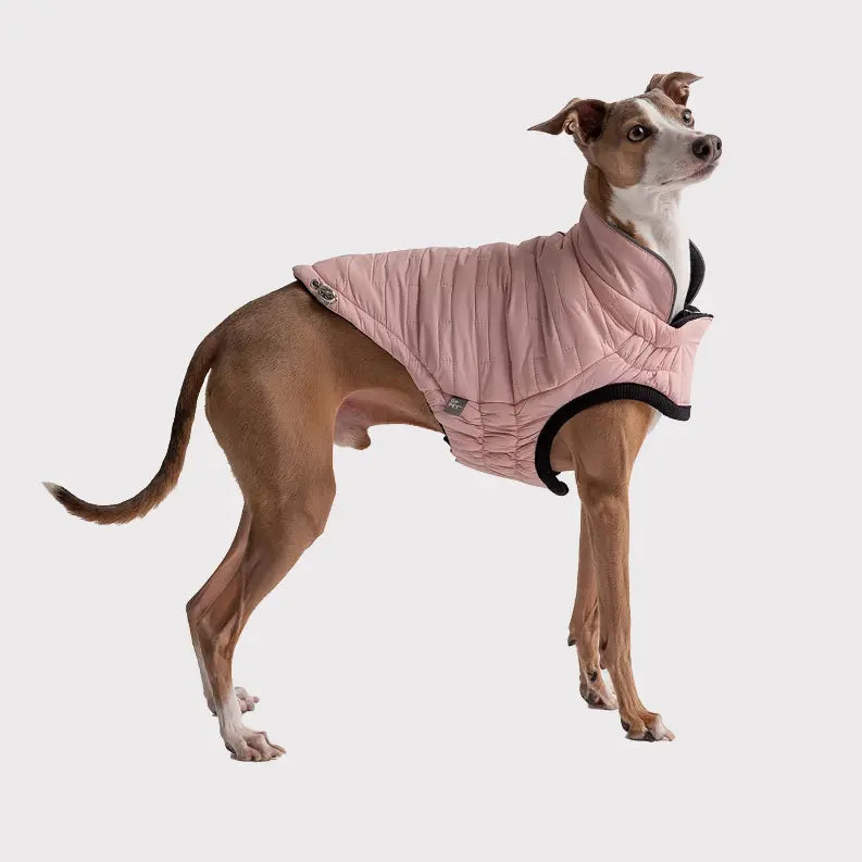 GF Pet Reversible Elasto-Fit Chalet Jacket GF Pet