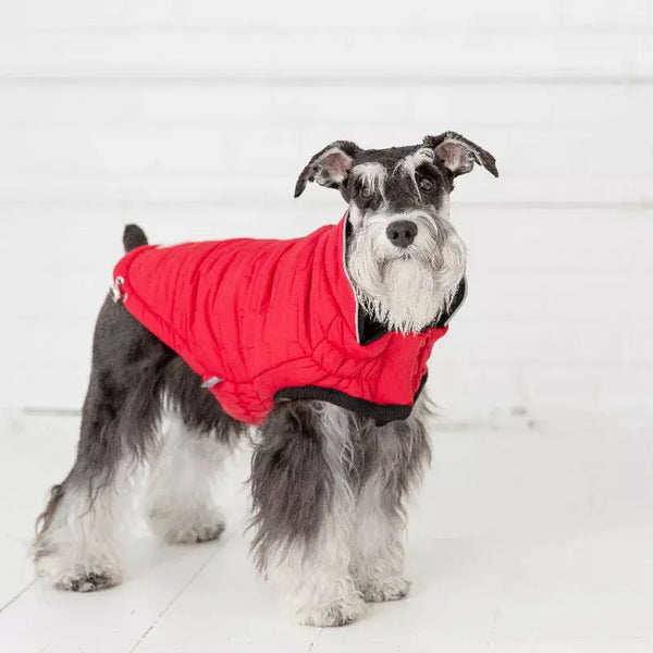 GF Pet Reversible ElastoFit Chalet Jacket GF Pet