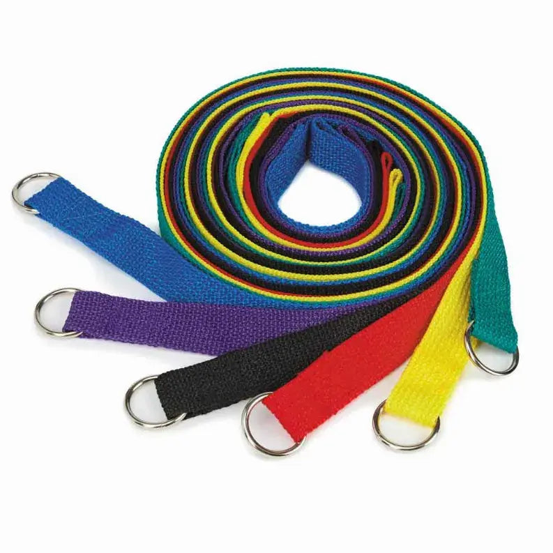 GG Kennel Lead 4Ft 6Pk Asst Guardian Gear
