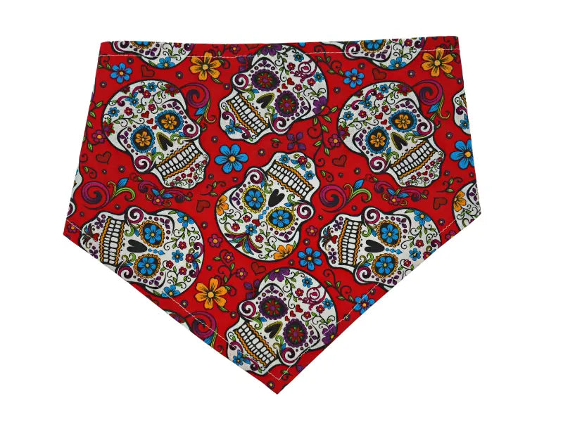 GG132FB|Pets Ribbons Pets Ribbons
