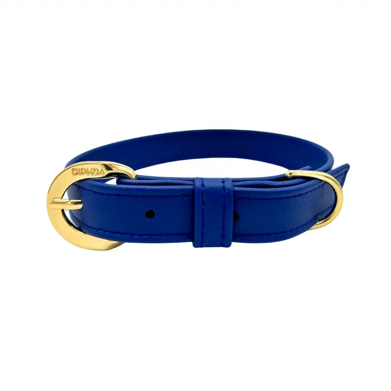 Galactic Blue Cactus Collar DIPHDA