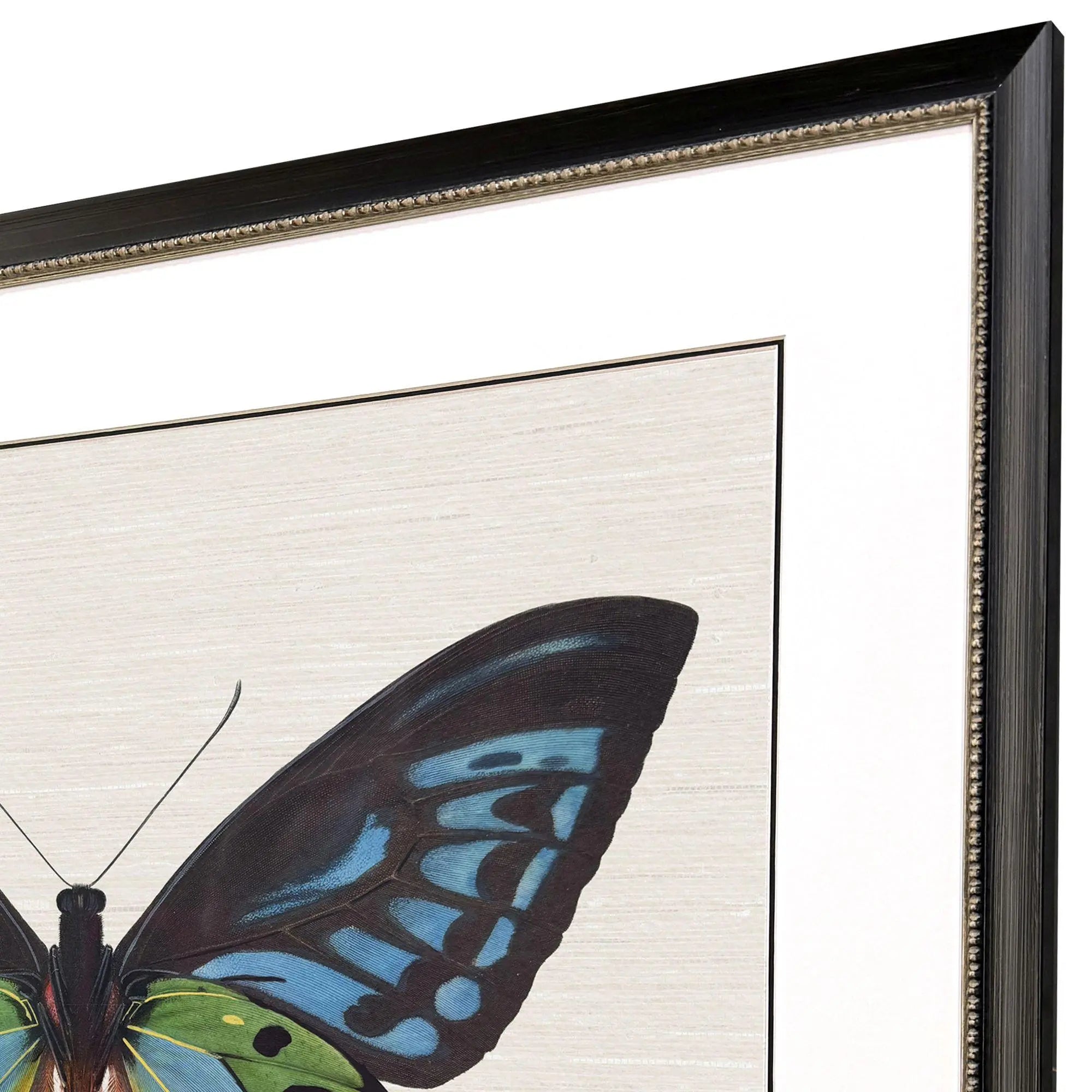 Garden Visitor I Black Framed Wall Art Homeroots Home Decor