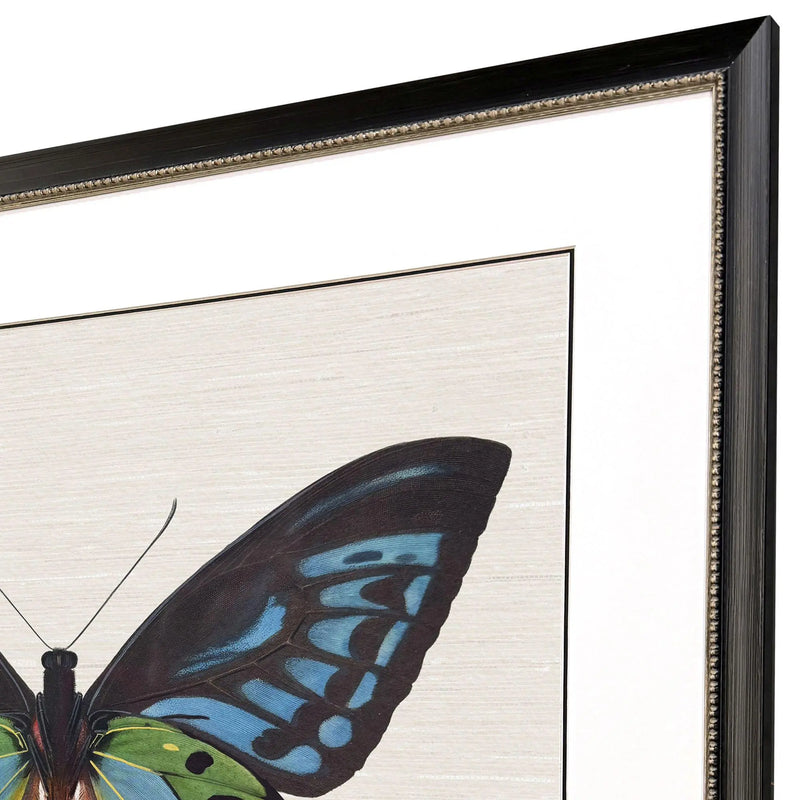 Garden Visitor I Black Framed Wall Art Homeroots Home Decor