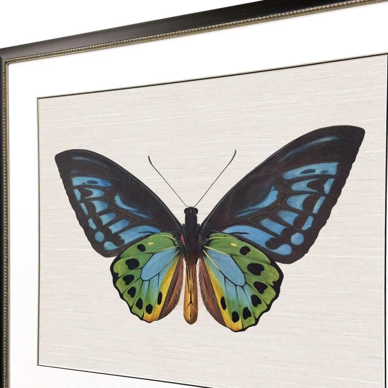 Garden Visitor I Black Framed Wall Art Homeroots Home Decor