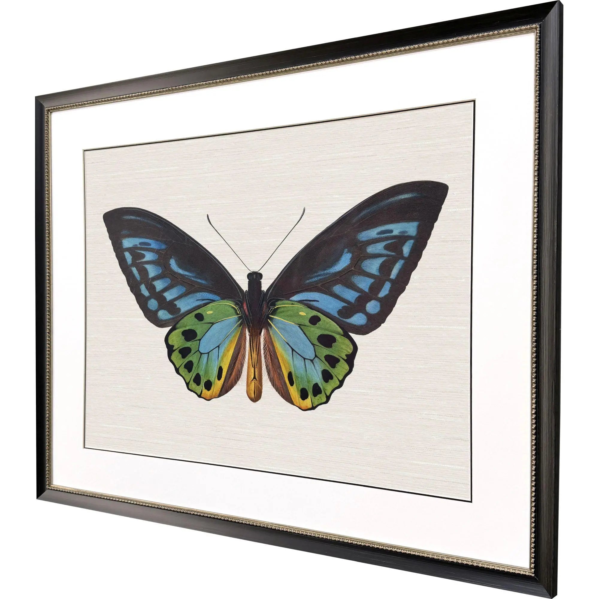Garden Visitor I Black Framed Wall Art Homeroots Home Decor
