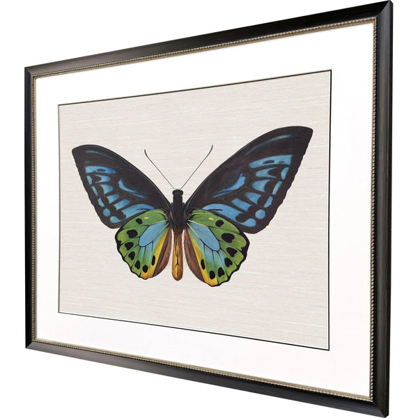 Garden Visitor I Black Framed Wall Art Homeroots Home Decor