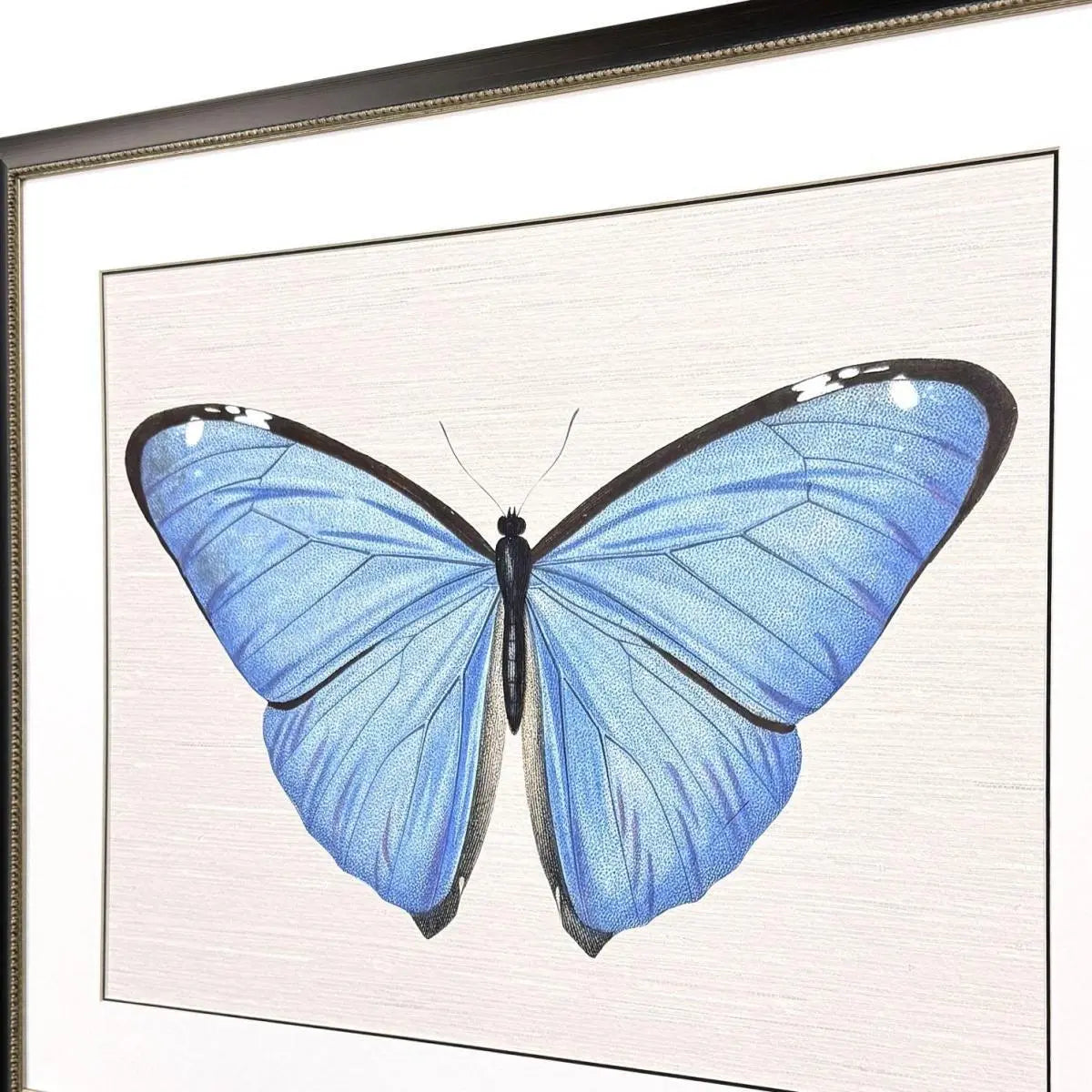 Garden Visitor II Black Framed Wall Art Homeroots Home Decor