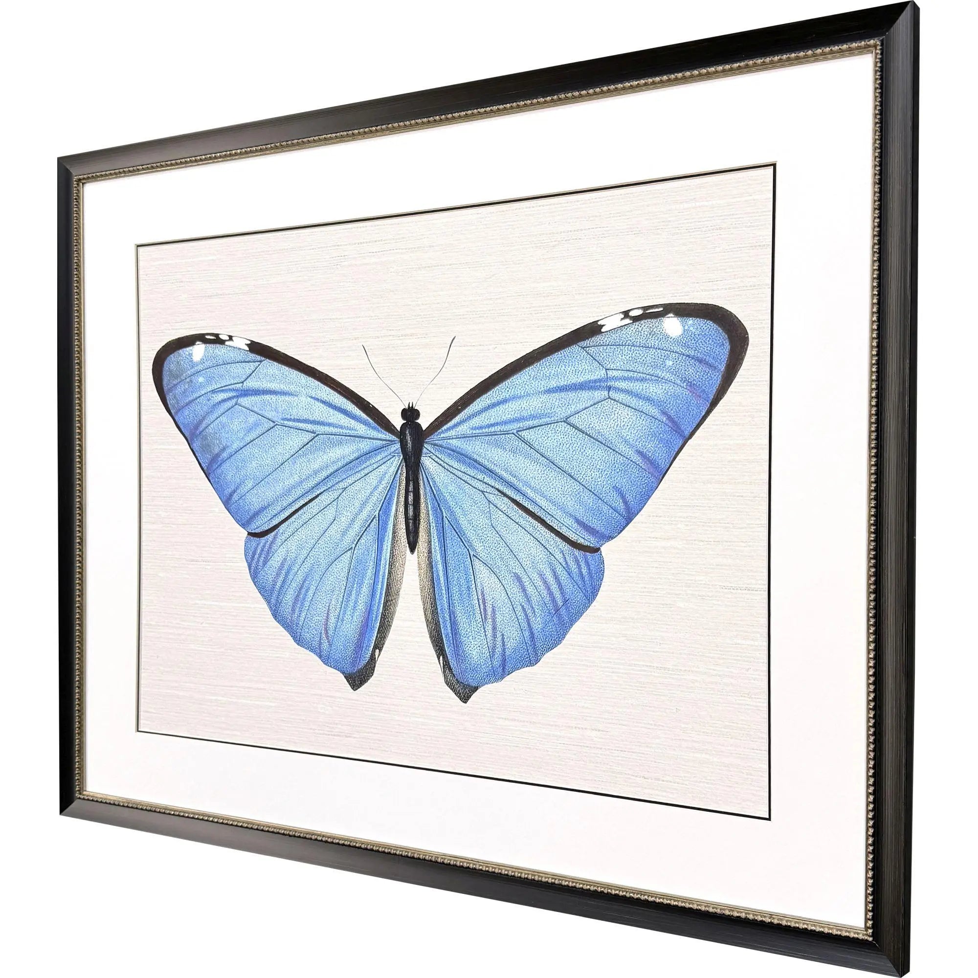 Garden Visitor II Black Framed Wall Art Homeroots Home Decor