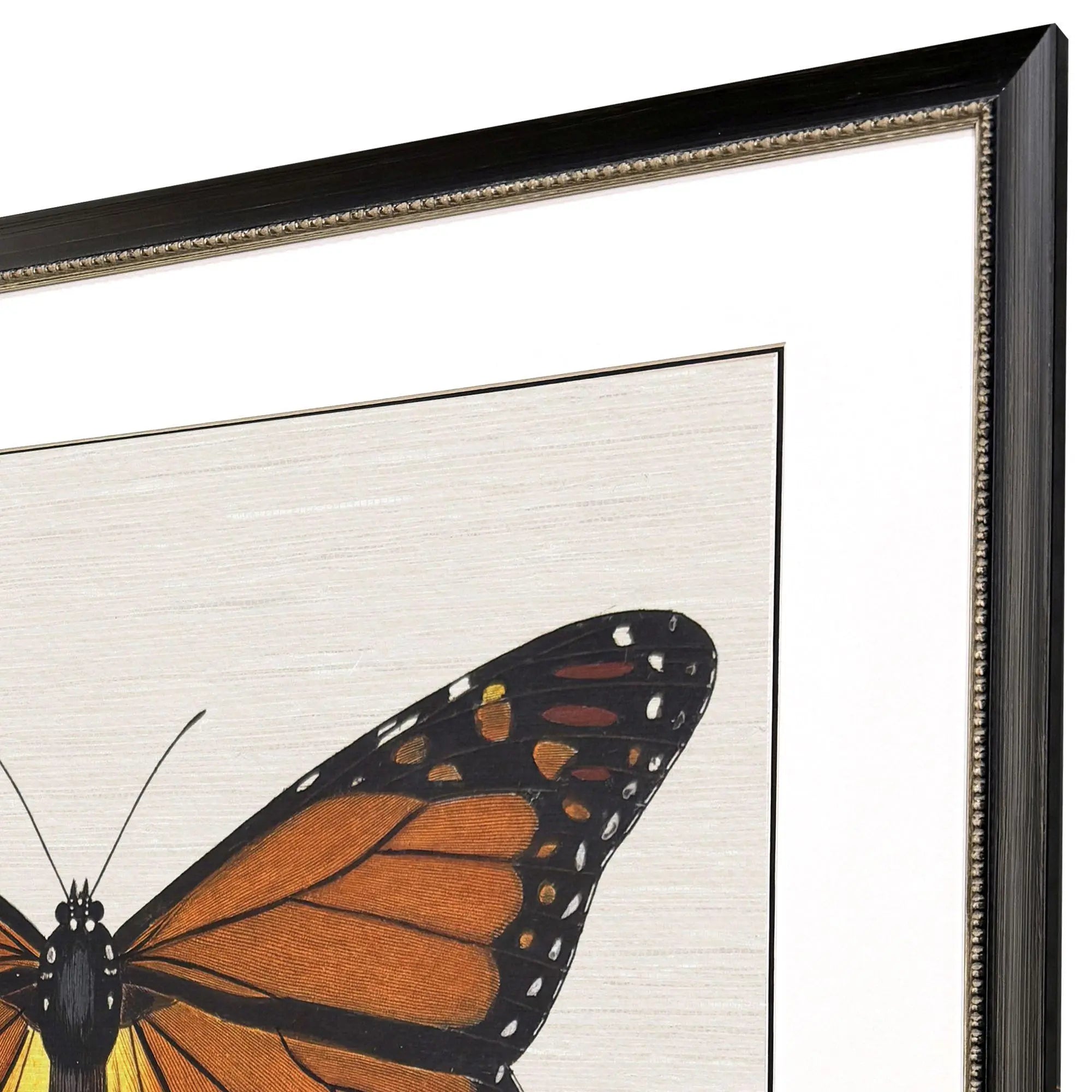Garden Visitor III Black Framed Wall Art Homeroots Home Decor