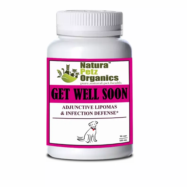 Get Well Soon - Adjunctive Lipoma + Infection Defense* Organic Pet Systems