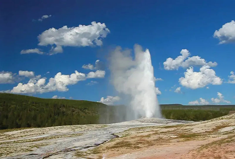 Geyser - Motion Postcard Bookmark Trenz