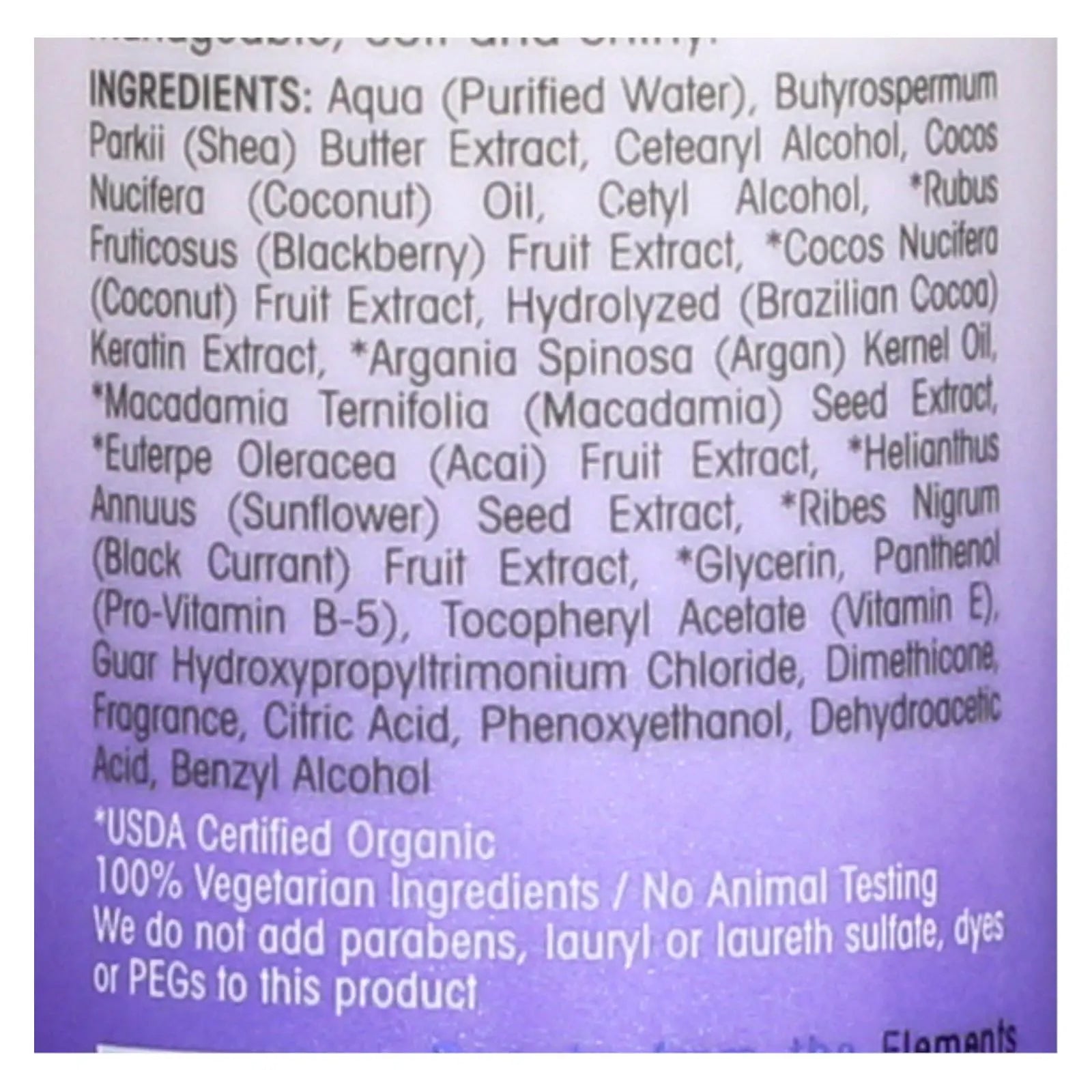 Giovanni Hair Care Products Conditioner - 2chic - Repairing - Leave-in Conditioning And Styling Elixir - Blackberry And Coconut Milk - 4 Oz - 1 Each Giovanni Hair Care Products